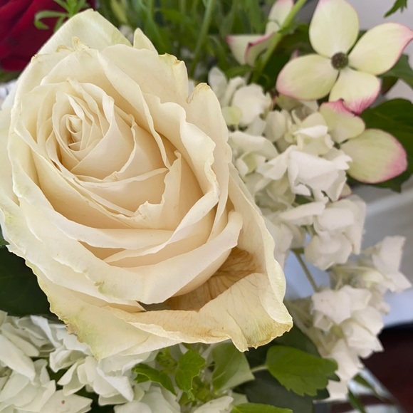 ACCEPT OFFERS ๐ - Picture 1 of 1